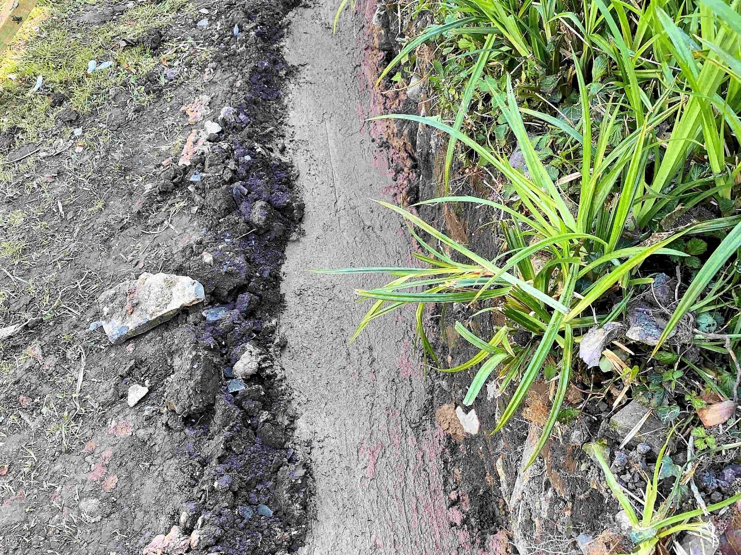 Patio Wall Path. Garden space gained by excavating bank. Barnstaple North Devon